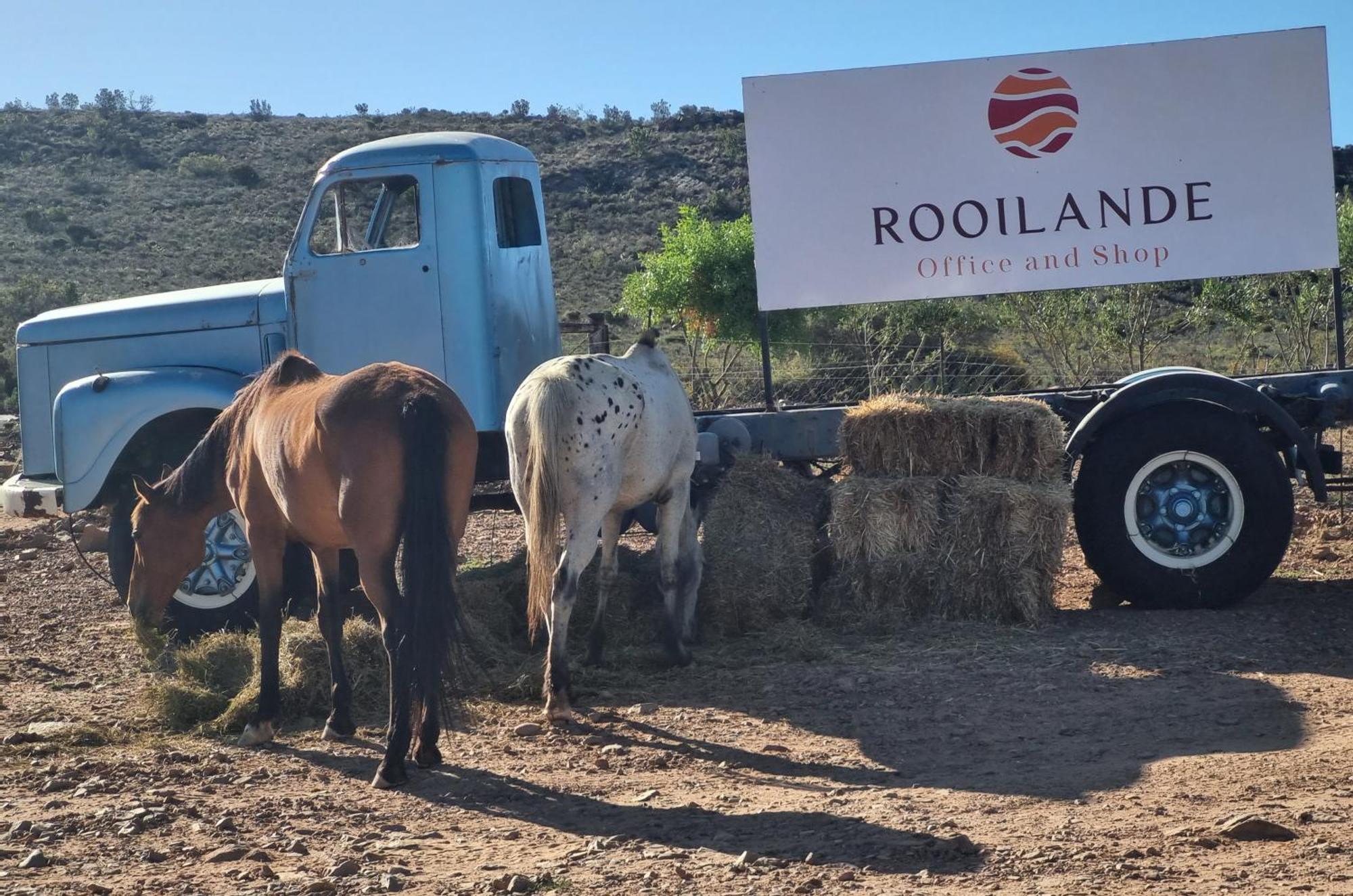 Rooilande Guest Farm Apartment Laingsburg Ngoại thất bức ảnh